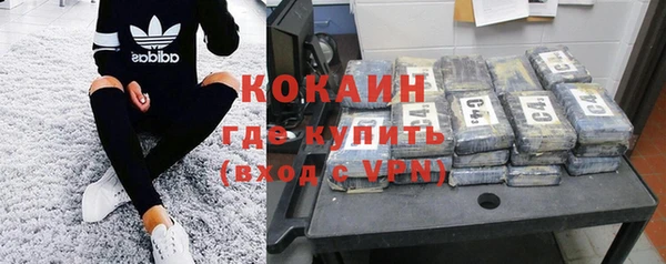 гашик Болохово
