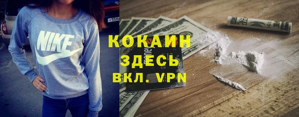 гидропоника Ладушкин