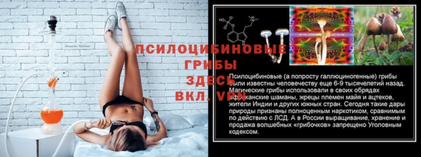 гидропоника Ладушкин