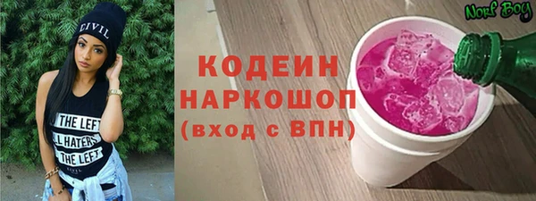 твердый Краснослободск